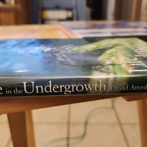 BBC Video DVD Set - Picture 3 of 16